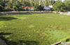 MCC old sewage network near Gujjarakere to be upgraded by Dec 2016
